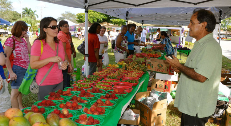 Visit the Coral Springs Green Market Every Saturday