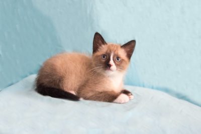 11083968_10206615388211828_4899910150892639598_o