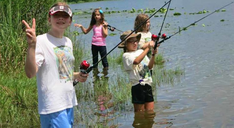 Get Wild this Summer at the Sawgrass Nature Center