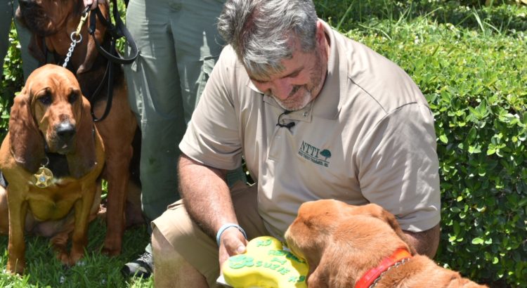 BSO Holds Bloodhound Retirement Party for Longtime Canine Search Dog