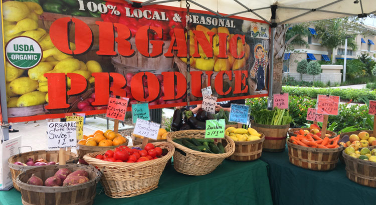 Coral Springs Farmers’ Market Presents Fresh Food and Live Music on Sunday