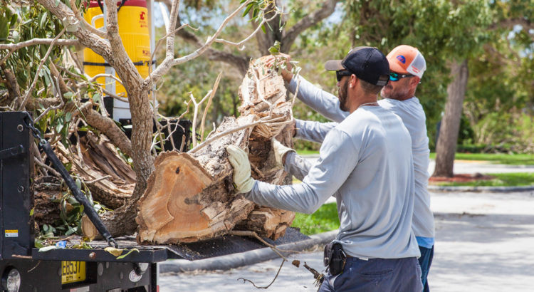 Hurricane Debris Pickup Coming to Gated Communities in Coral Springs
