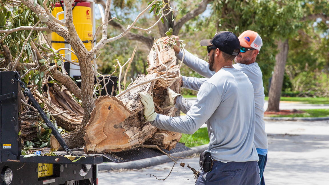 Hurricane Debris Pickup Coming to Gated Communities in Coral Springs