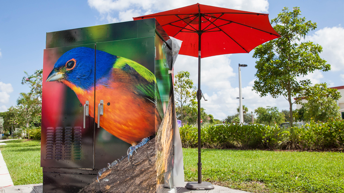 Dreary Traffic Boxes Become Canvases for Art Around Coral Springs