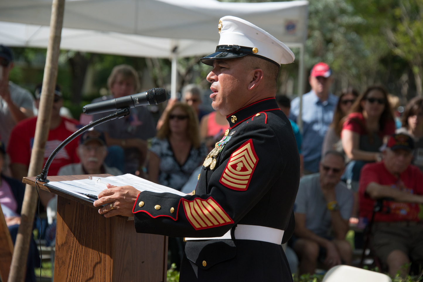 Photos from the Coral Springs Veteran's Day Ceremony
