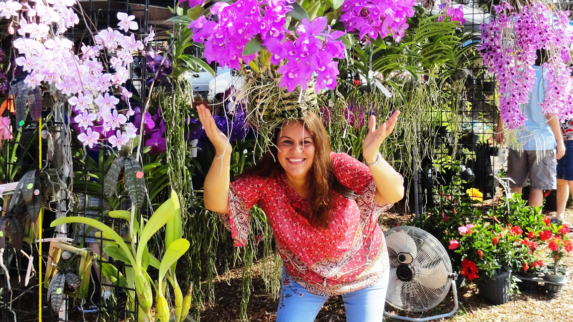 Sawgrass Nature Center Holds Second Annual Orchid Festival