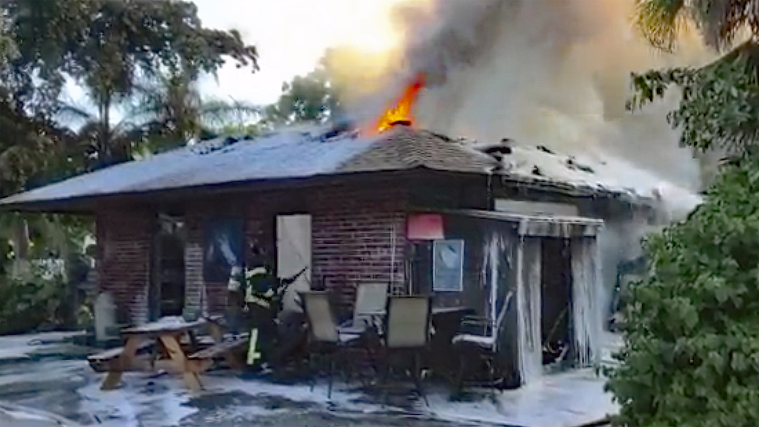 Horses Safe After Coral Springs Barn Fire Coral Springs Talk