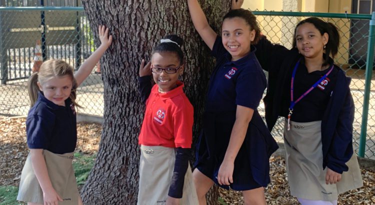 Somerset Academy Riverside in Coral Springs Holds Open House Festival January 26 Somerset Academy Riverside in Coral Springs Holds Open House Festival January 26