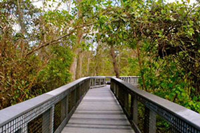 Tall Cypress Natural Area parks