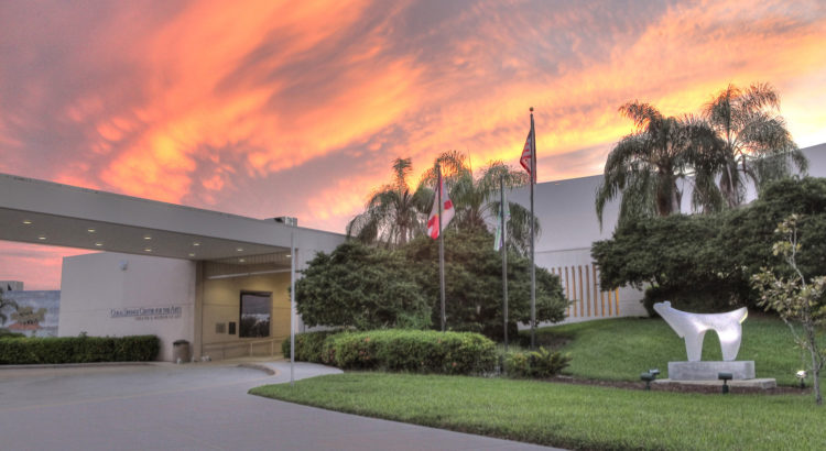 Calling All Artists: the Coral Springs Museum of Art Is Holding an Open House