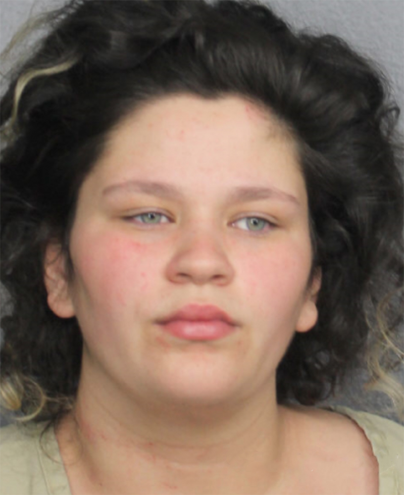 Pregnant Woman Charged with Domestic Battery After Attacking Boyfriend