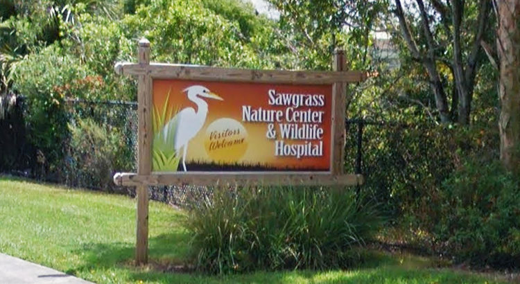 Sawgrass Nature Center Partners with Local Elementary School to  Revitalize Gardens