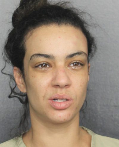 Coral Springs Police Arrest Woman for Domestic Battery After Hitting ...
