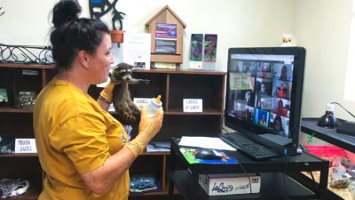 Sawgrass Nature Center