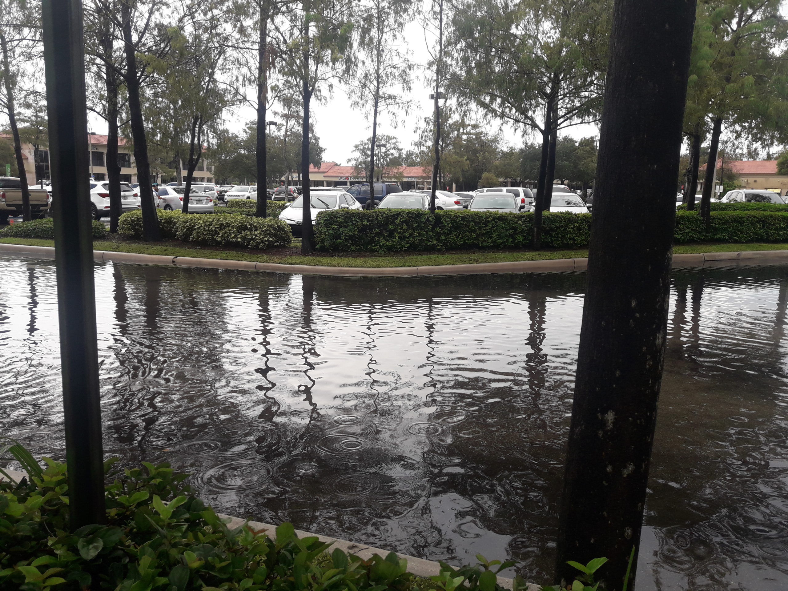 Flash Flood Warning in Coral Springs Lifted at 4 p.m.