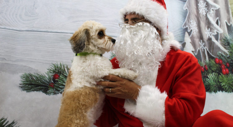 Coral Springs Pet Supermarket Hosts Santa for Photo Meet & Greet