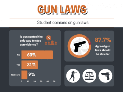 Gun-Laws-Chart