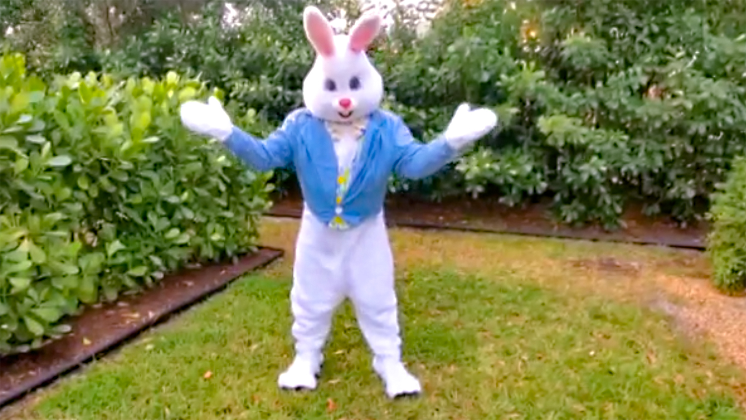 Download The Easter Bunny Hops Over To Coral Springs To Say Hello To Our Readers Coral Springs Talk