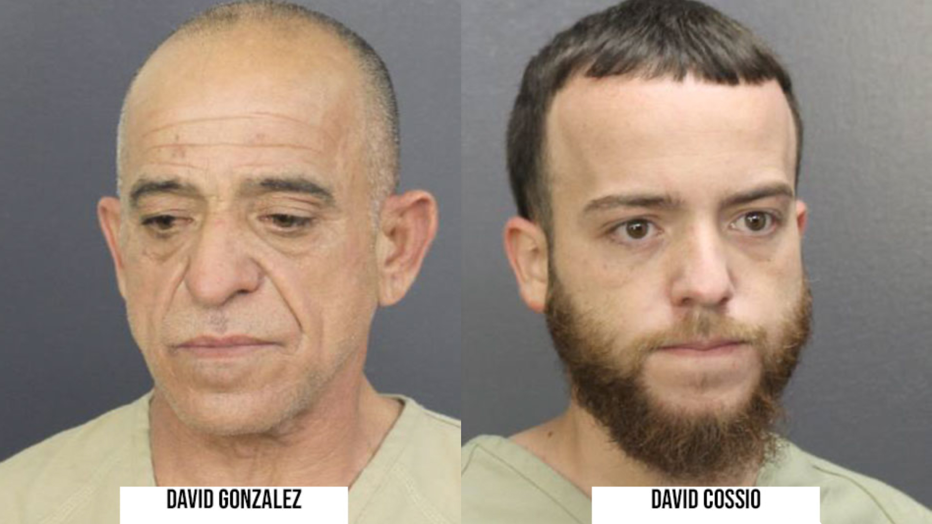 Arrested: David Gonzalez, 54, of Miami Gardens and David Cossio, 23,