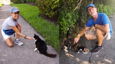 Coral Springs Couple Cleans up Community While Saving Cats