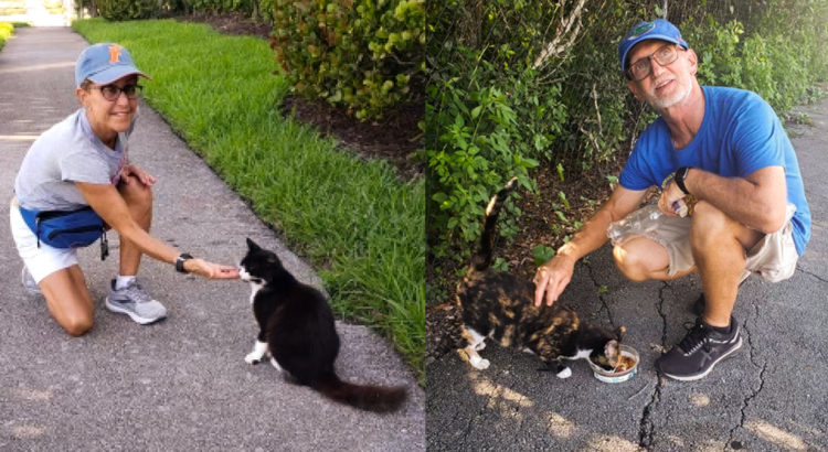 Coral Springs Couple Cleans up Community While Saving Cats