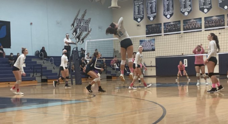 Coral Springs Charter Girls Volleyball Wins Opening Match Against Westminster