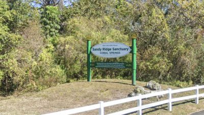 Get Back to Nature with Coral Springs Parks and Rec Program