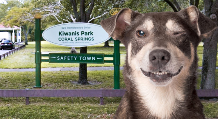 Coral Springs Parks Are ‘Going to the Dogs’ After New Ordinance Passes