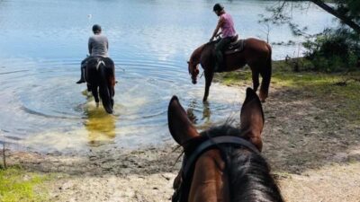 Gallop into Adventure: Join Spitfire Farm's Horse Camp for an Unforgettable Summer