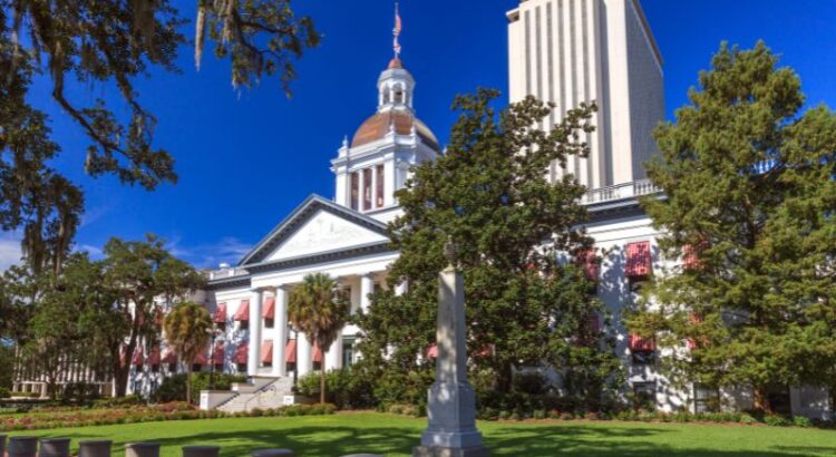 Dozens of Lawmakers Get Ticket Back to Tallahassee