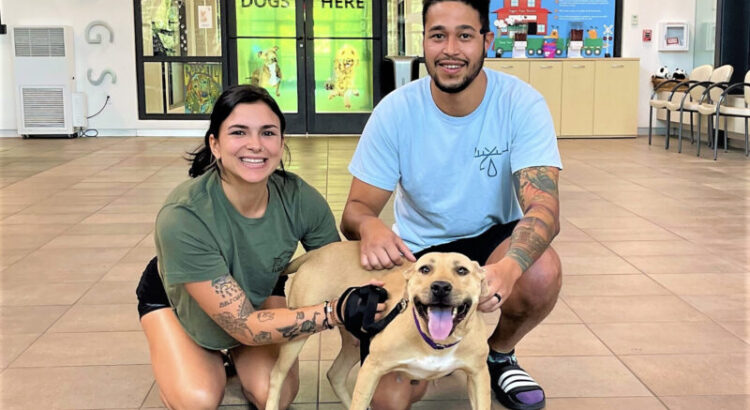 Adoption Success Story: Princess Finds Her Family