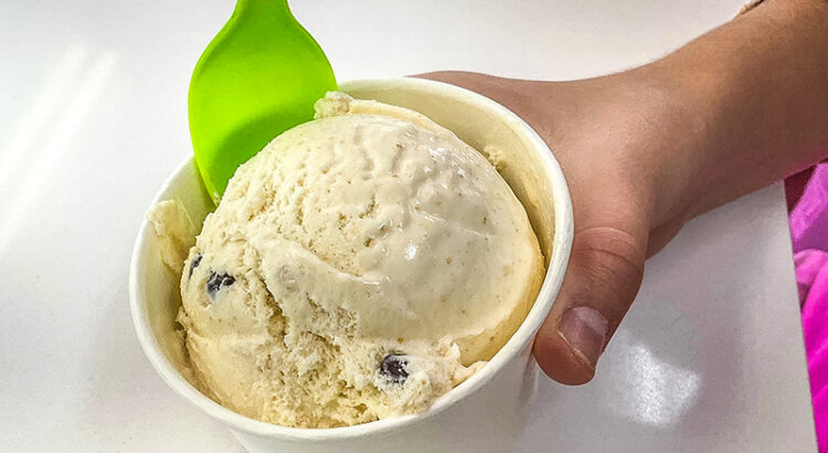 We Rank 5 Coral Springs Shops on our “Ice Cream Palooza” Tour