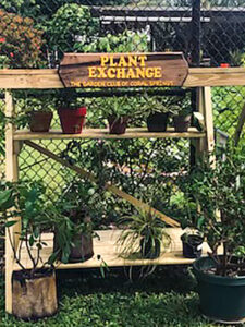 Plant Exchange Stand in Coral Springs Helps Keep Gardens Free of Invasive Greenery