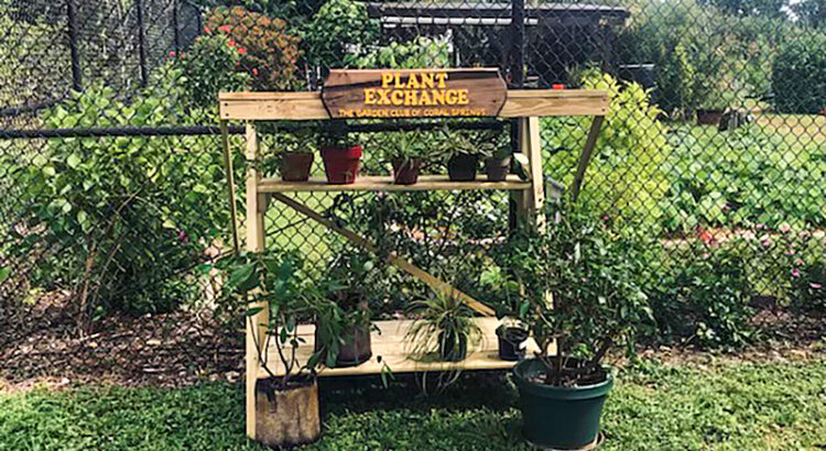 Plant Exchange Stand in Coral Springs Helps Keep Gardens Free of Invasive Greenery