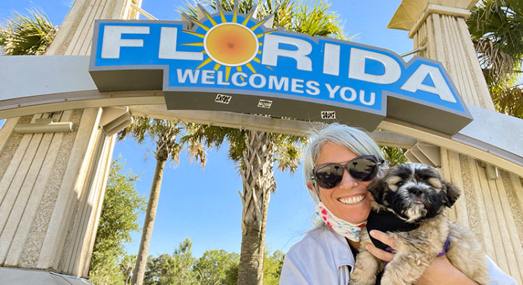 Coral Springs Resident Finds Dream Job as a Private Dog Driver