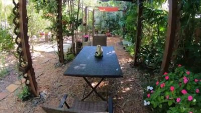 Does Your Yard Have What it Takes to Win a 2023 NatureScape Emerald Award?