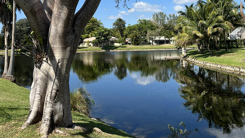 Coral Springs Residents Rally Against Tree Removal Plan at Upcoming Public Meeting
