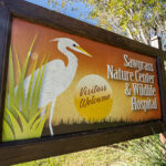 Apply Now: Sawgrass Nature Center Opens Doors for New Volunteers