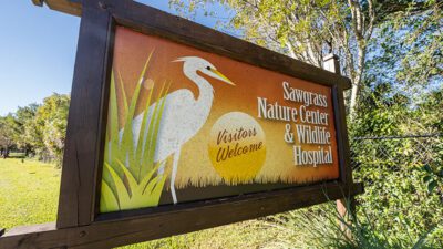 Apply Now: Sawgrass Nature Center Opens Doors for New Volunteers