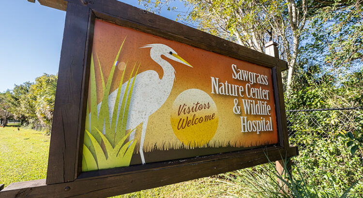 Sawgrass Nature Center Hosts Family-Friendly “Spring into Spring” Event