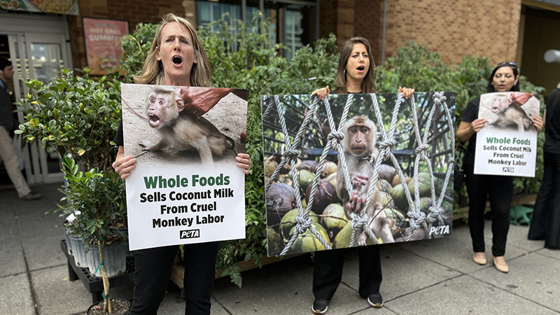 Coral Springs Animal Rights Activist Arrested Protesting Cruelty-Linked Coconut Milk