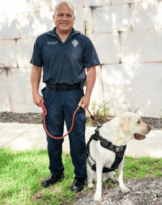 Coral Springs Labrador Competes in the Final Stage of 2023 American Hero Dog Awards