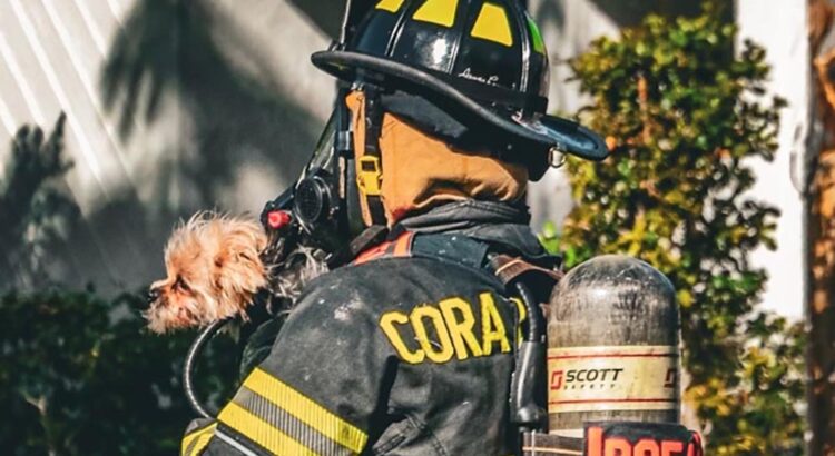 Coral Springs Firefighter Saves Family Dog From House Fire