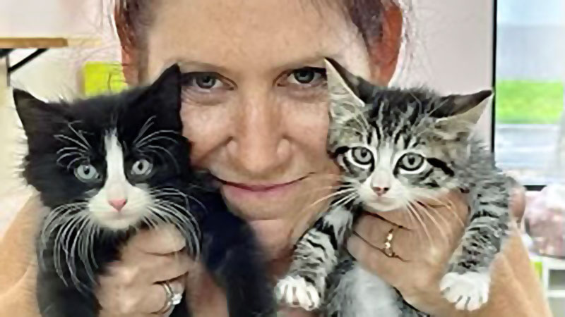 Compassionate Volunteers Wanted to Help Coral Springs' Cats in Need