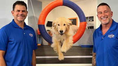 Zoom Room Dog Training Where Dogs and their Owners Bond While Having Fun