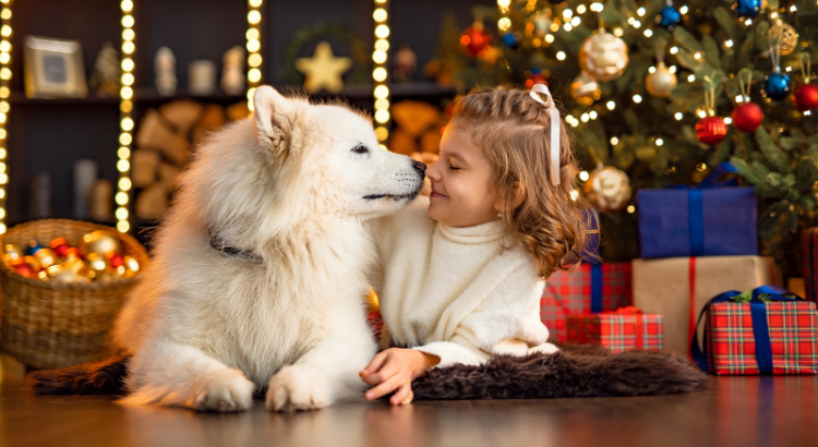 Bring Holiday Cheer to Shelter Pets at the Humane Society of Broward County’s Festive Sleepover Program