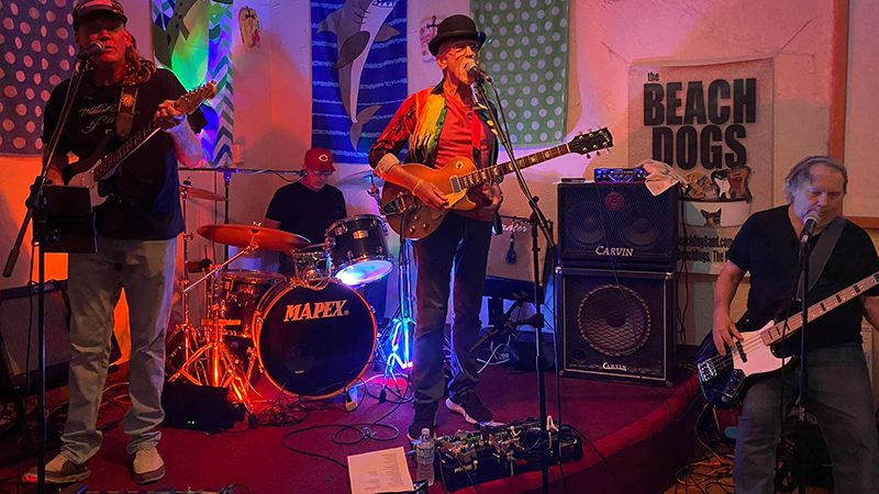 The Walk On Wednesdays Features The BeachDogs