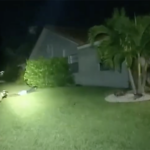 Dramatic Police Footage Shows Hunt for Burglar in Coral Springs