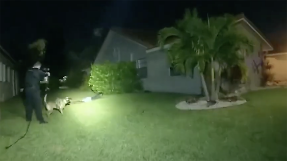 Dramatic Police Footage Shows Hunt for Burglar in Coral Springs
