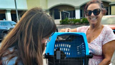 "Amazing": Cat Missing From Coral Springs Home for a Year Finds His Way Back to Owner